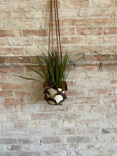 Load image into Gallery viewer, Sapsucker Farms Leather Plant Hanging Class